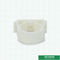 付属品クランプ サイズの白いPprの管の付属品20 - 63のMm冷たいまたは熱湯の供給