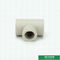 投げるPprの管付属品の緑色、ティーを減らすIso9001 2005年承認Ppr