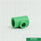 投げるPprの管付属品の緑色、ティーを減らすIso9001セリウムの承認Ppr