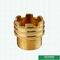 男性の黄銅はPprの付属品のためのカスタマイズされた設計を挿入する