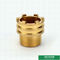 CW617Nの材料によってカスタマイズされる設計男性の黄銅はPprの付属品のためのより軽い重量を挿入する