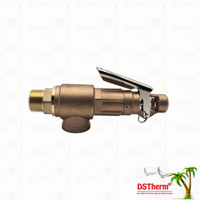 銅製の安全弁 1/2"-2"パイプラインシステム 過圧防護装置 カスタマイズされたLOGO