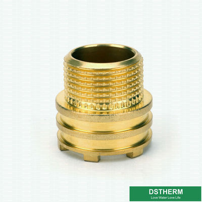 CW617Nの材料によってカスタマイズされる設計男性の黄銅はPprの付属品のためのより軽い重量を挿入する