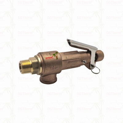 銅製の安全弁 1/2"-2"パイプラインシステム 過圧防護装置 カスタマイズされたLOGO