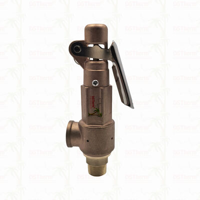 銅製の安全弁 1/2"-2"パイプラインシステム 過圧防護装置 カスタマイズされたLOGO