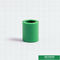 20mmのOEM ODMが付いている家のための緑のプラスチック管付属品のPprの等しいカップリング