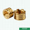 女性の黄銅はPprの付属品のためのカスタマイズされた設計を挿入する