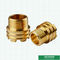 男性の黄銅はPprの付属品のためのカスタマイズされた設計を挿入する
